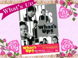 What's Up(ワッツアップ)