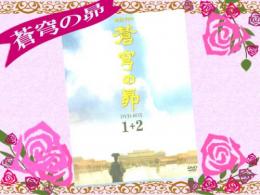 蒼穹の昴 DVD-BOX